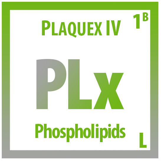 Plaquex IV therapy